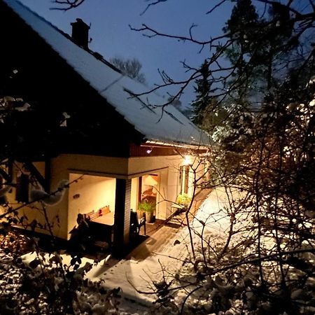 Lądek-Zdrój Dom Puchacza W Ladku-Zdrojuヴィラ エクステリア 写真