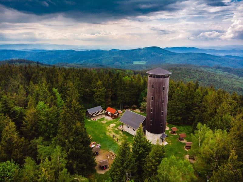 Lądek-Zdrój Dom Puchacza W Ladku-Zdrojuヴィラ エクステリア 写真